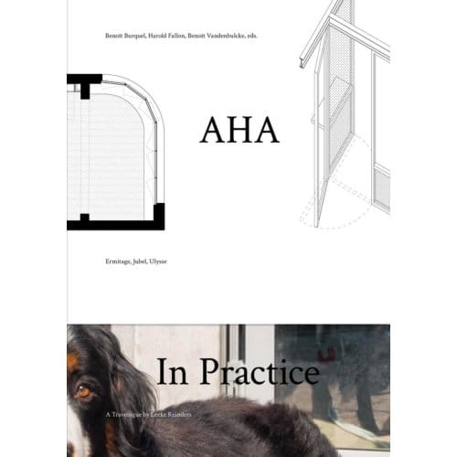Aha In Practice - Leeke Reinders