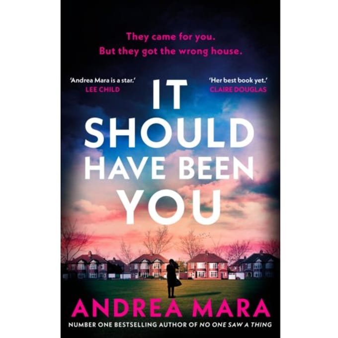 It Should Have Been You - Andrea Mara