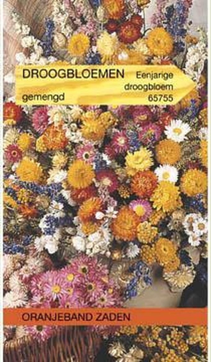 Oranjeband - Droogbloemen mengsel