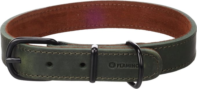 Hond Halsband Montana Groen L 43,5-53,5cm 25mm