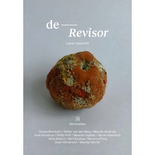 Revisor 31 - Diverse auteurs