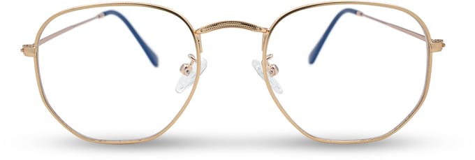 BL Hexagonal Rose Gold - Blauw licht bril - Blue light glasses - Computer bril