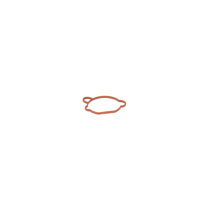 Gasket carburettor