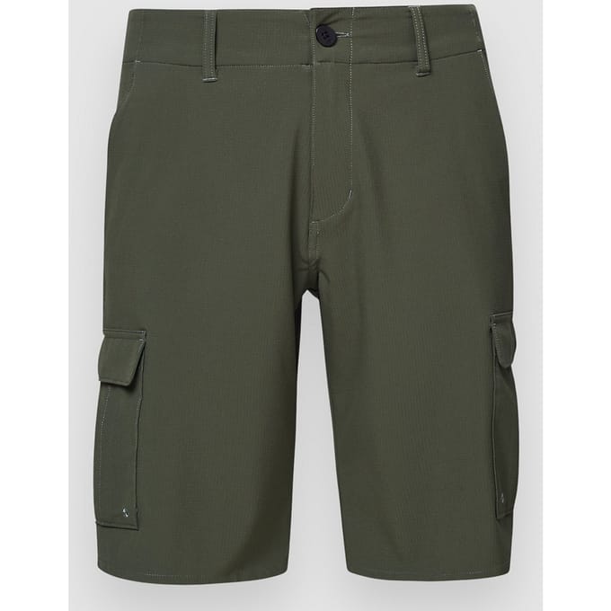 Oakley B1B Cargo Hybrid Korte Broek groen