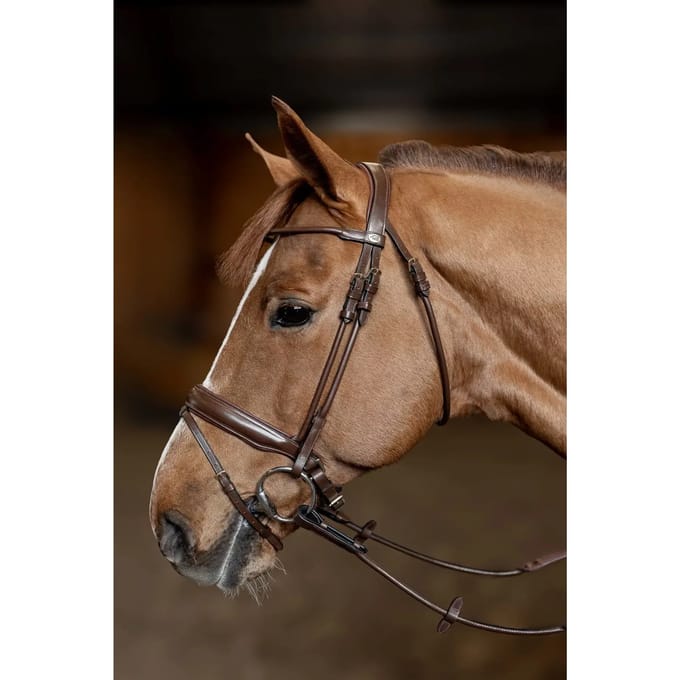 Anatomisch hoofdstel HFI Round