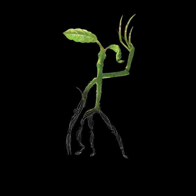 Fantastic Beasts Tribal Bowtruckle t-shirt - Zwart - M