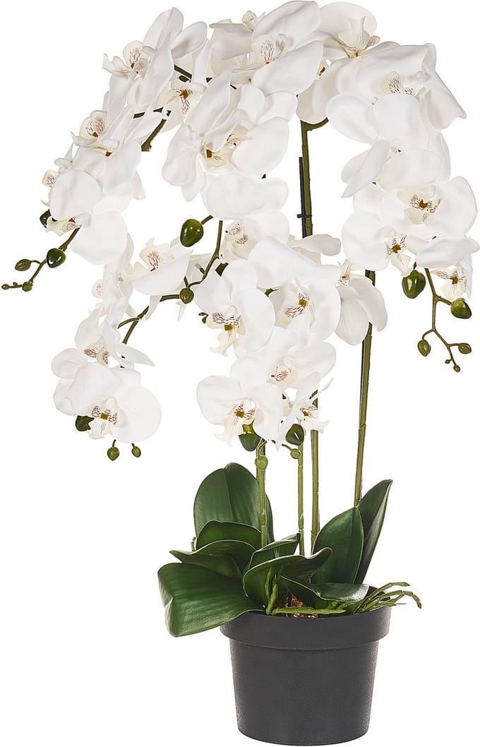 ORCHID - Kunstplant - Wit/Groen - 63 cm - Synthetisch