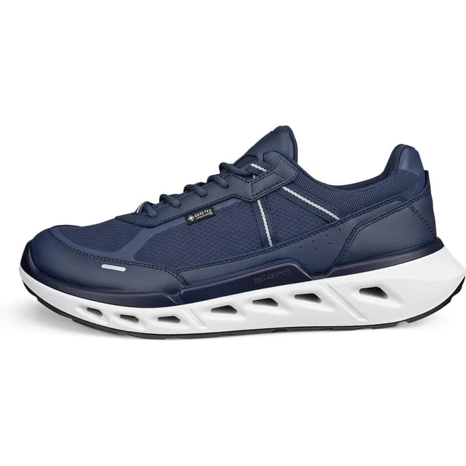 Sneakers Ecco Biom 720 GTX