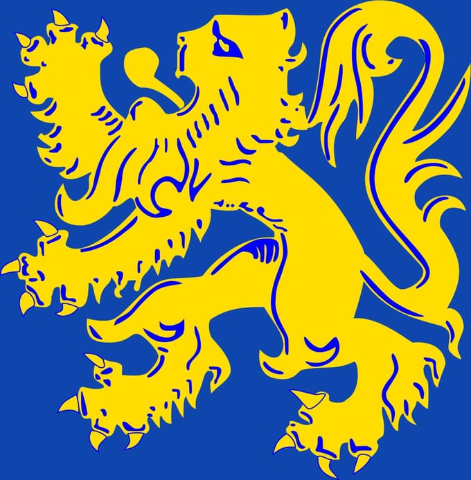 Vlag Zottegem 100x150cm