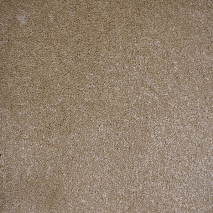 Vloerkleed Xilento Soft Sahara | 170 x 230 cm