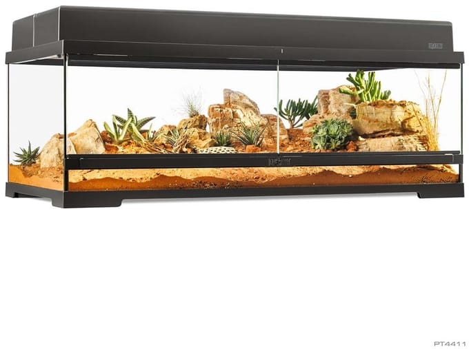 Exo Terra Pro Terrarium Zwart | Advanced Natural Terrarium 90Ãƒâ€”45Ãƒâ€”30 cm met 3-traps ventilatie