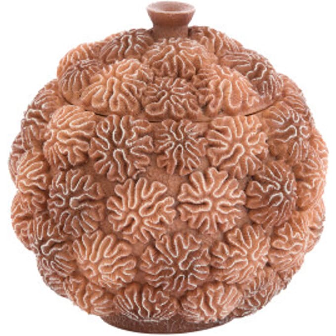 Light & Living - Deco box+deksel CORAL - Ø17x16cm - Bruin
