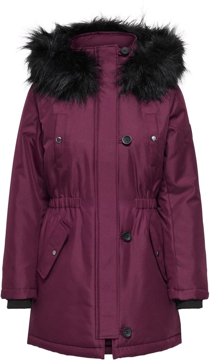 ONLY - ONLIRIS FUR WINTER PARKA LIFE CC OTW - Dames - Gewatteerde jassen
