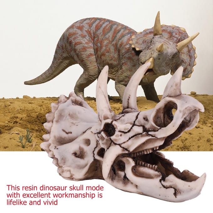 Crâne de dinosaure tricératops en résine, modèle de squelette simulé, décoration pour la maison ou le bureau gray