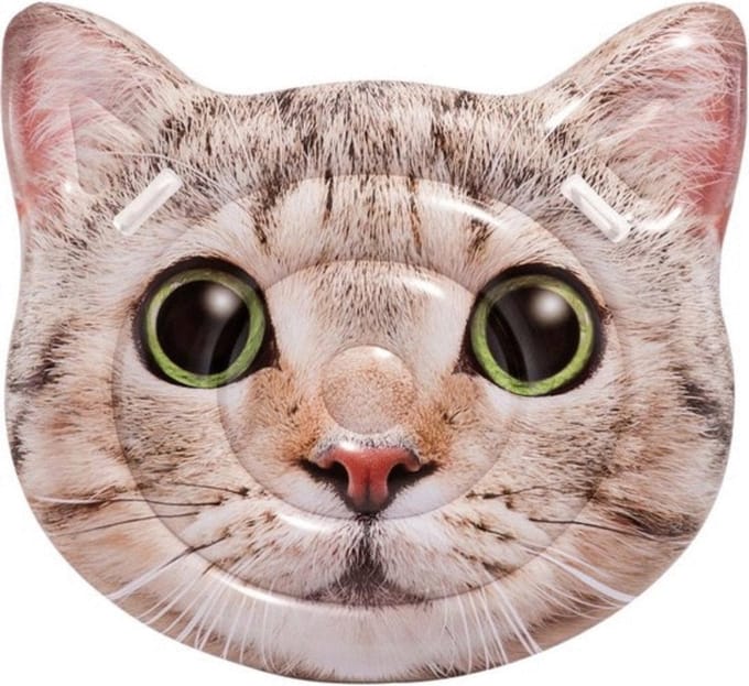 Intex luchtbed kat