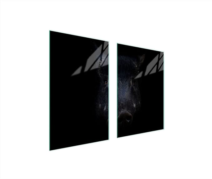 TMK ArtDeko - Snijplank Glas - 65x52 cm - Bescherming - Dierlijk Motief