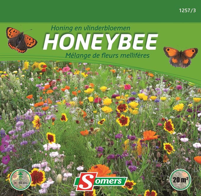 Somers zaden - Mengeling honing- en vlinderbloemen - Honeybee