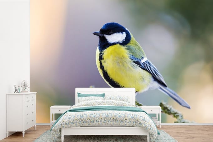 Behang - Fotobehang Koolmees - Vogel - Tak - Breedte 450 cm x hoogte 300 cm