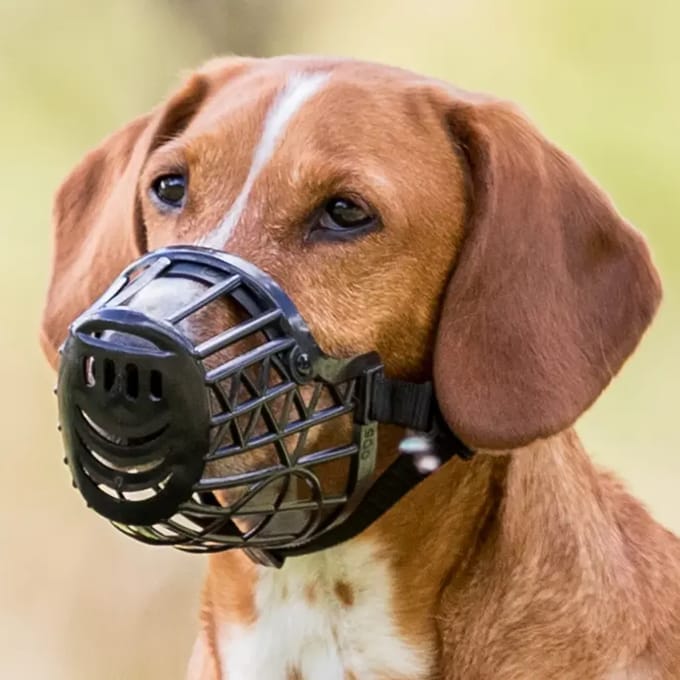 Plastic muilbanden voor honden Trixie