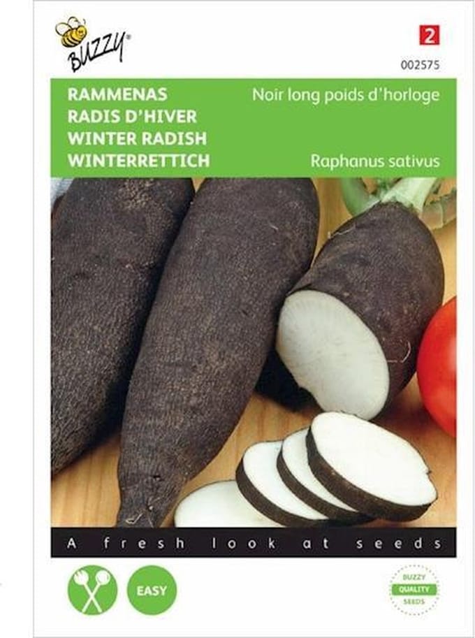 Buzzy zaden - Rammenas Lange Zwarte - Raphanus sativus