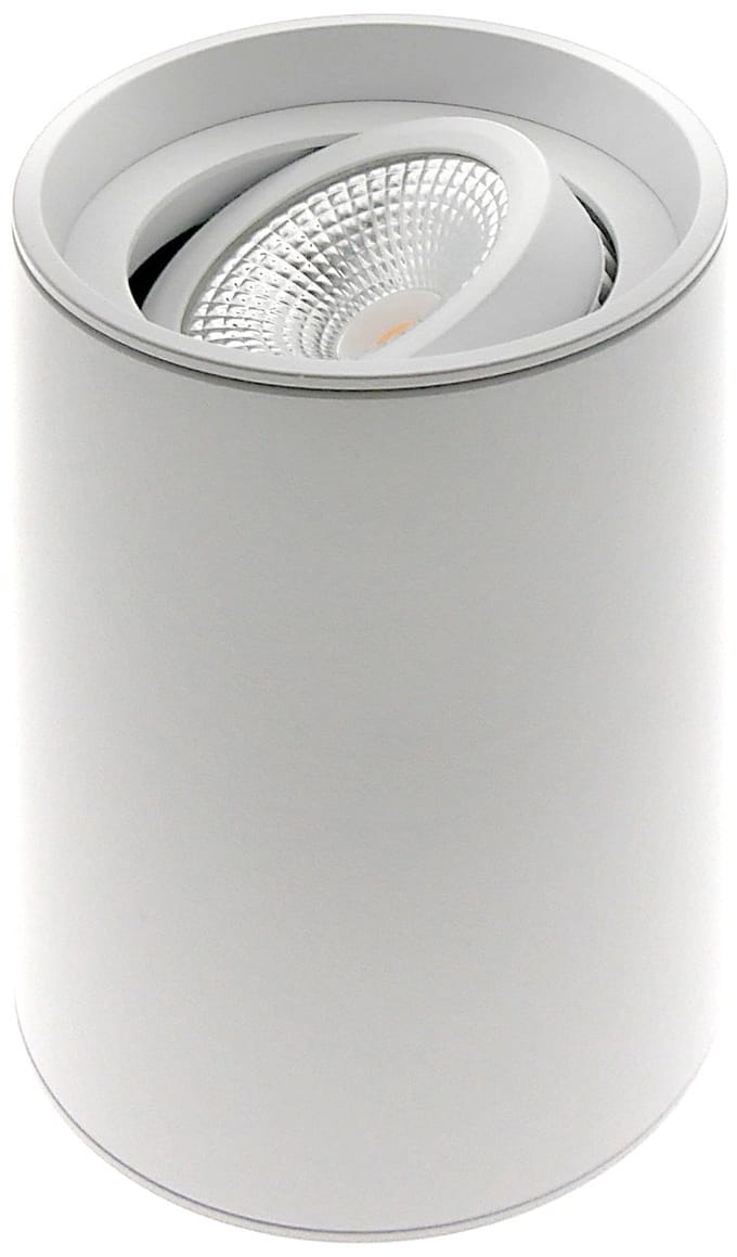 ETH Viggo Opbouwspot rond kantelbaar 51mm Wit D80xH115mm + GU10 fitting