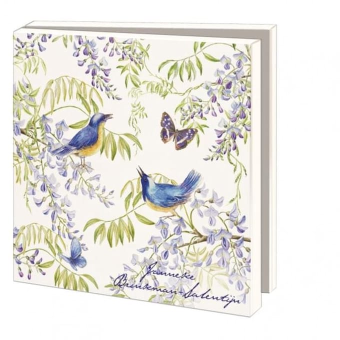 Bekking&Blitz (museum)kaartjes vierkant: Vogels en Vlinders van Janneke Brinkman
