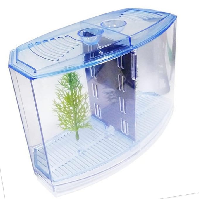 Viskweekbox Dubbele Ruimtes Mini Plastic Aquarium Isolatie Broedbak Incubatorbox voor Pauwvis gray