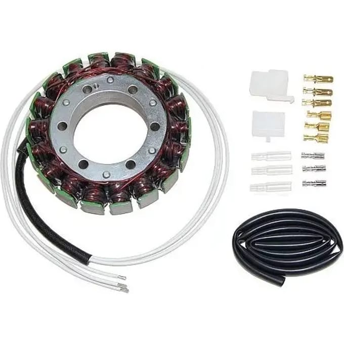 Originele aanpasbare motor dynamo Electrosport Suzuki