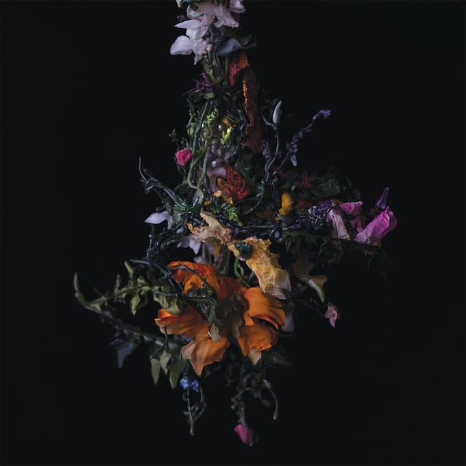 Big|Brave - Nature Morte (CD)
