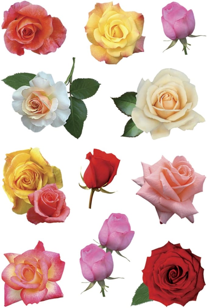 HERMA 3308 Stickers Décor Rozenbloesems