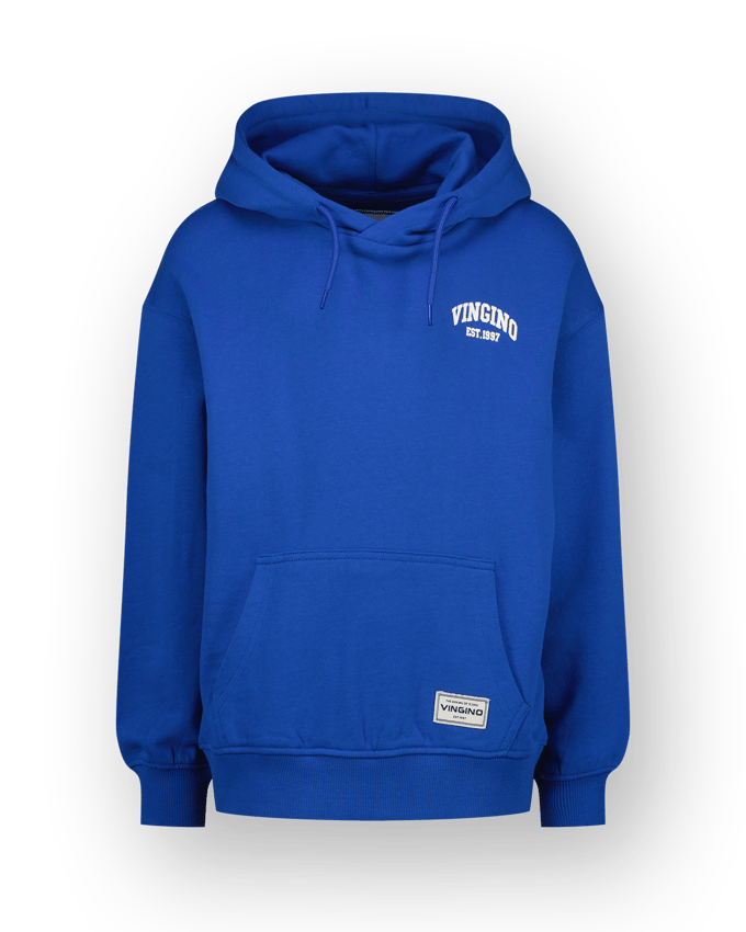 Hoodie Icon-hoody