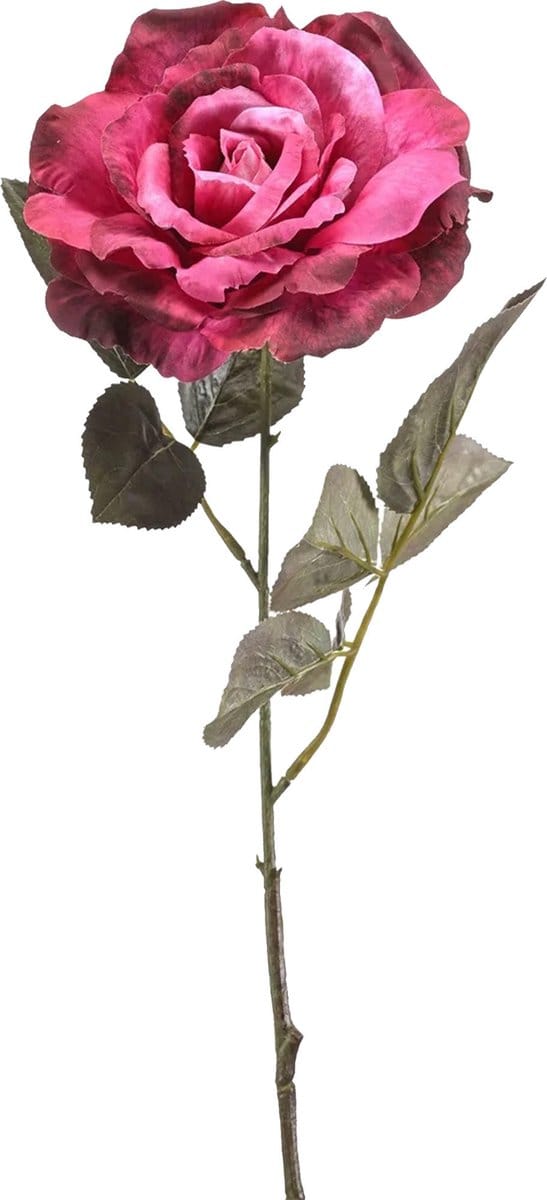 Emerald Kunstbloem roos Pascal - fuchsia roze - 65 cm - decoratie bloemen