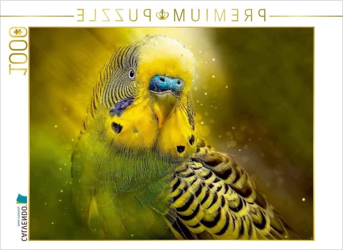 Legpuzzel Parkiet - Puzzel Dieren - Ontspanning Thuis - 1000 Stukjes - 64 x 48 cm - Gekleurd