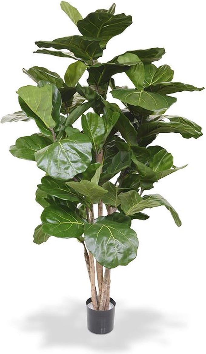 Lyrata deluxe kunstboom 170cm