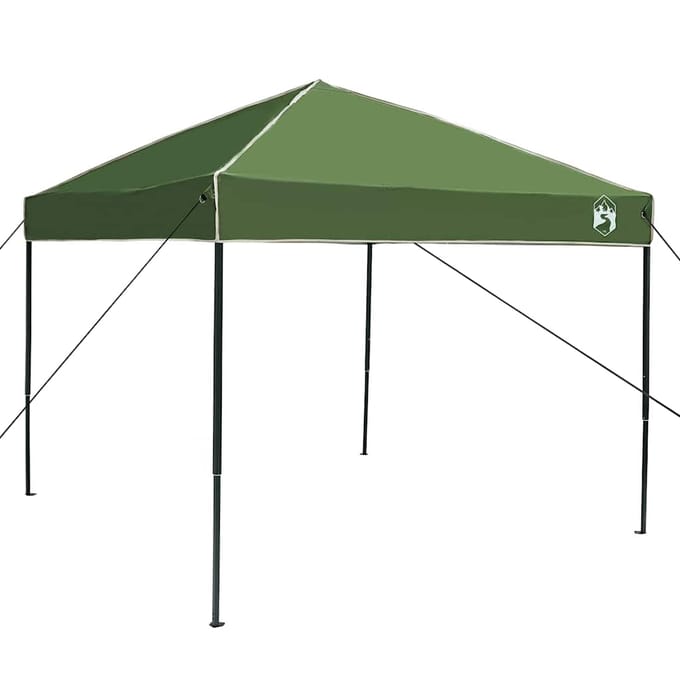 vidaXL - Luifel - Tent - 243 - x - 243 - x - 251 - cm - Groen - Stof