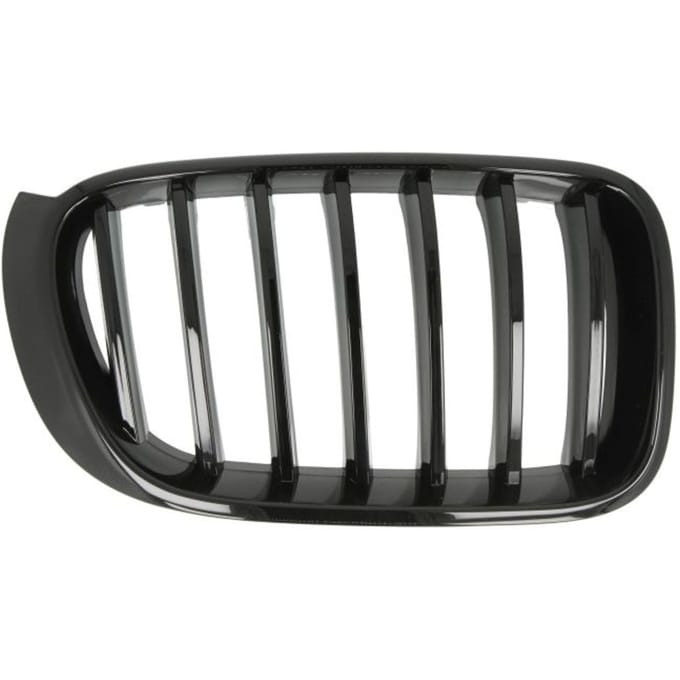 Ventilatiegrille, bumper BLIC 6502-07-00939988P