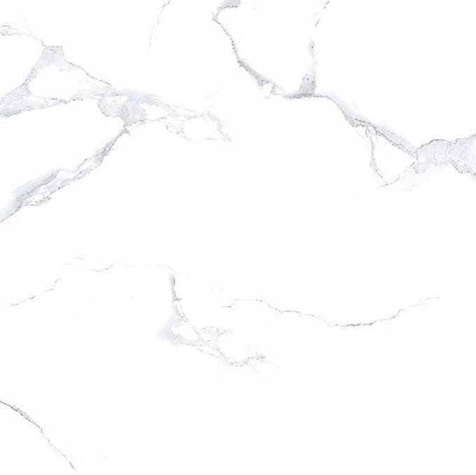 Netto Serie - Tegel - Wit Marmer - 60x60 cm