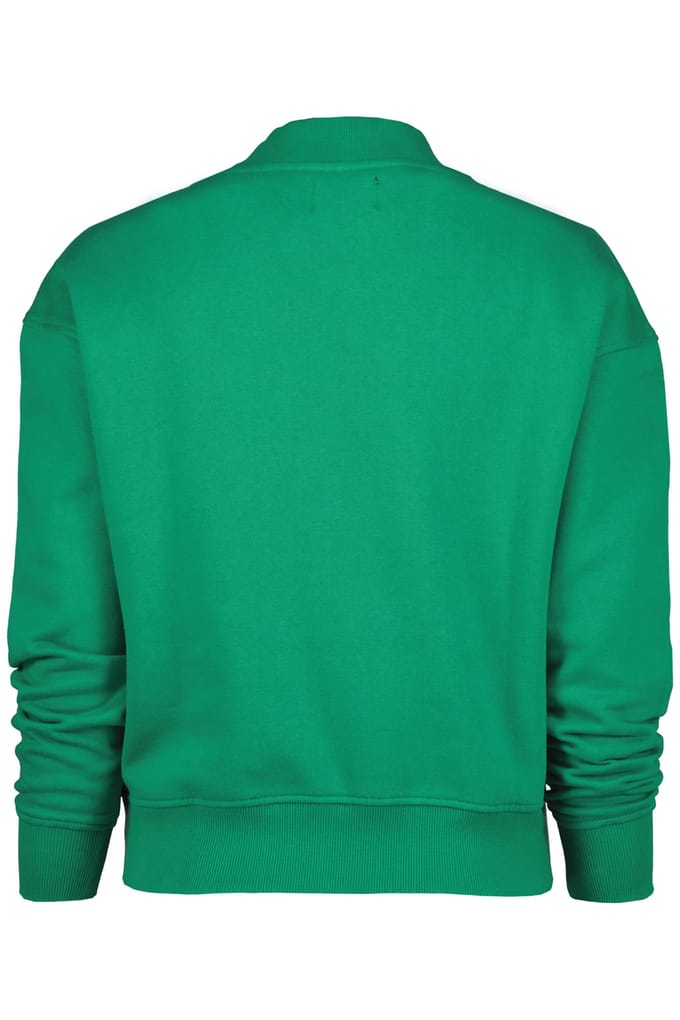 RAIZZED Noah Sweater Bright Green Größe: S | Pullover Outlet | Damen | Grün