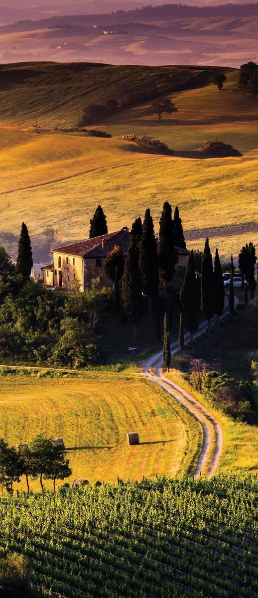 Deursticker Muursticker Landelijk | Goud | 91x211cm