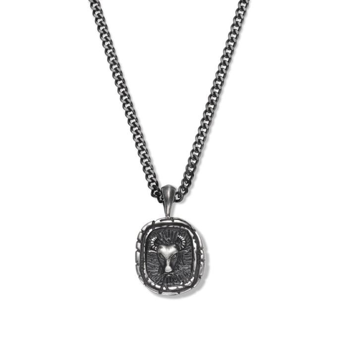 Frank1967 7FN-0035 zodiac ketting - 60CM - stier - Cadeau voor mannen - Sterrenbeeld