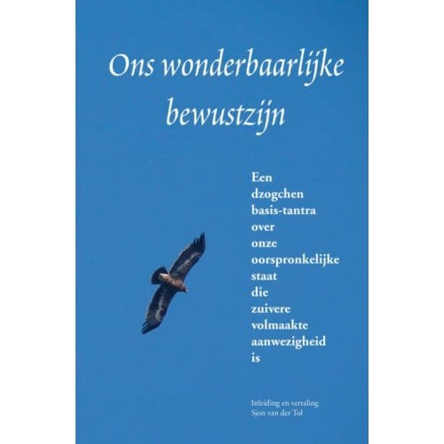 Ons Wonderbaarlijke Bewustzijn - Sjon van der Tol