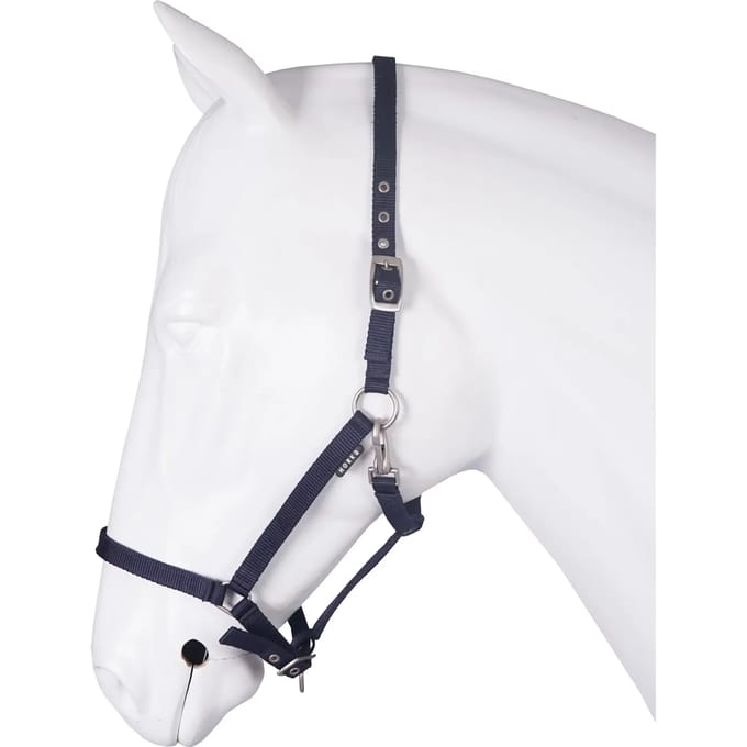 Halsband voor paard basis HORKA