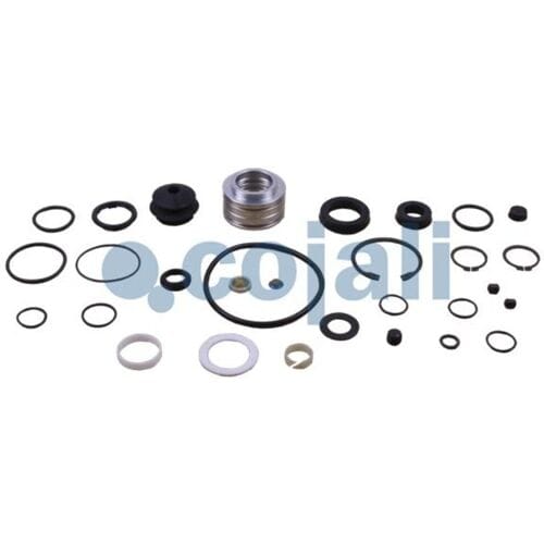 Reparatieset, koppelingsbekrachtiger COJALI 6012231