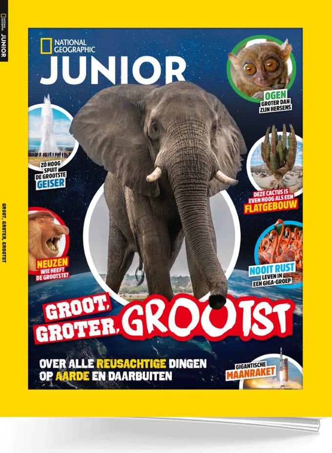 Nat Geo Junior | Groot Groter Grootst