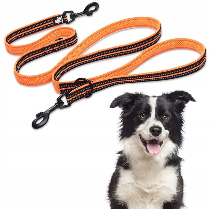 Truelove Trainingsriem - Oranje - M - 200cm