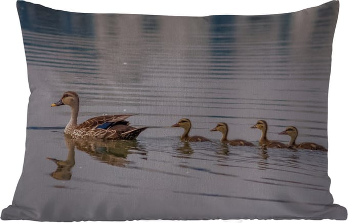 Buitenkussens - Tuin - Eend - Water - Vogel - Bruin - 50x30 cm