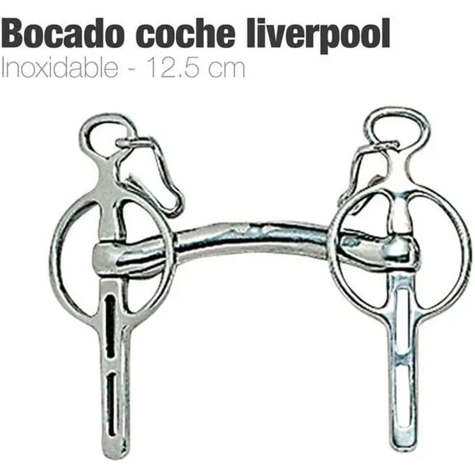 Liverpool bustrens voor paard Zaldi 212551