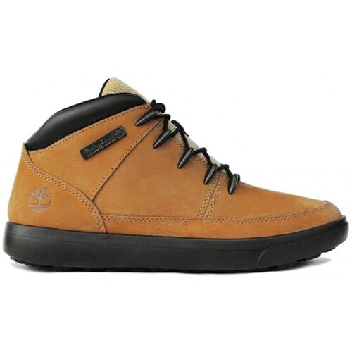 Lage Sneakers Timberland A2GS9