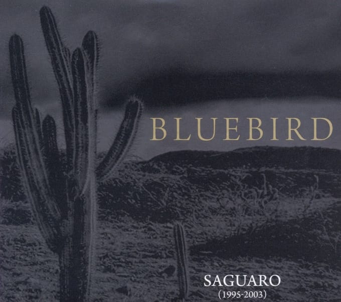 Saguaro (1995-2003)