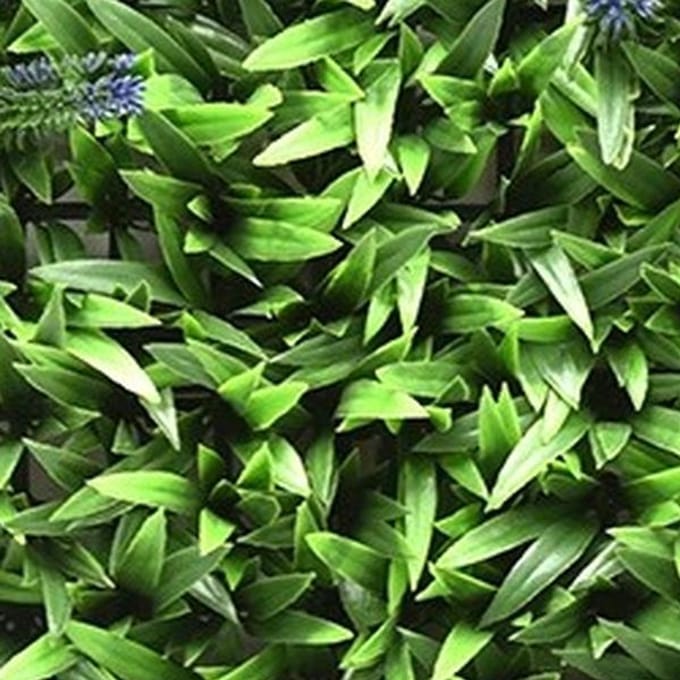 Kunstplanten mat 50x50 cm lavendel groen/paars Buitengewoon de Boet